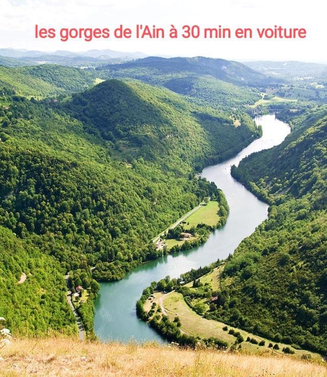 Apartment La P'tite Des Got Viriat